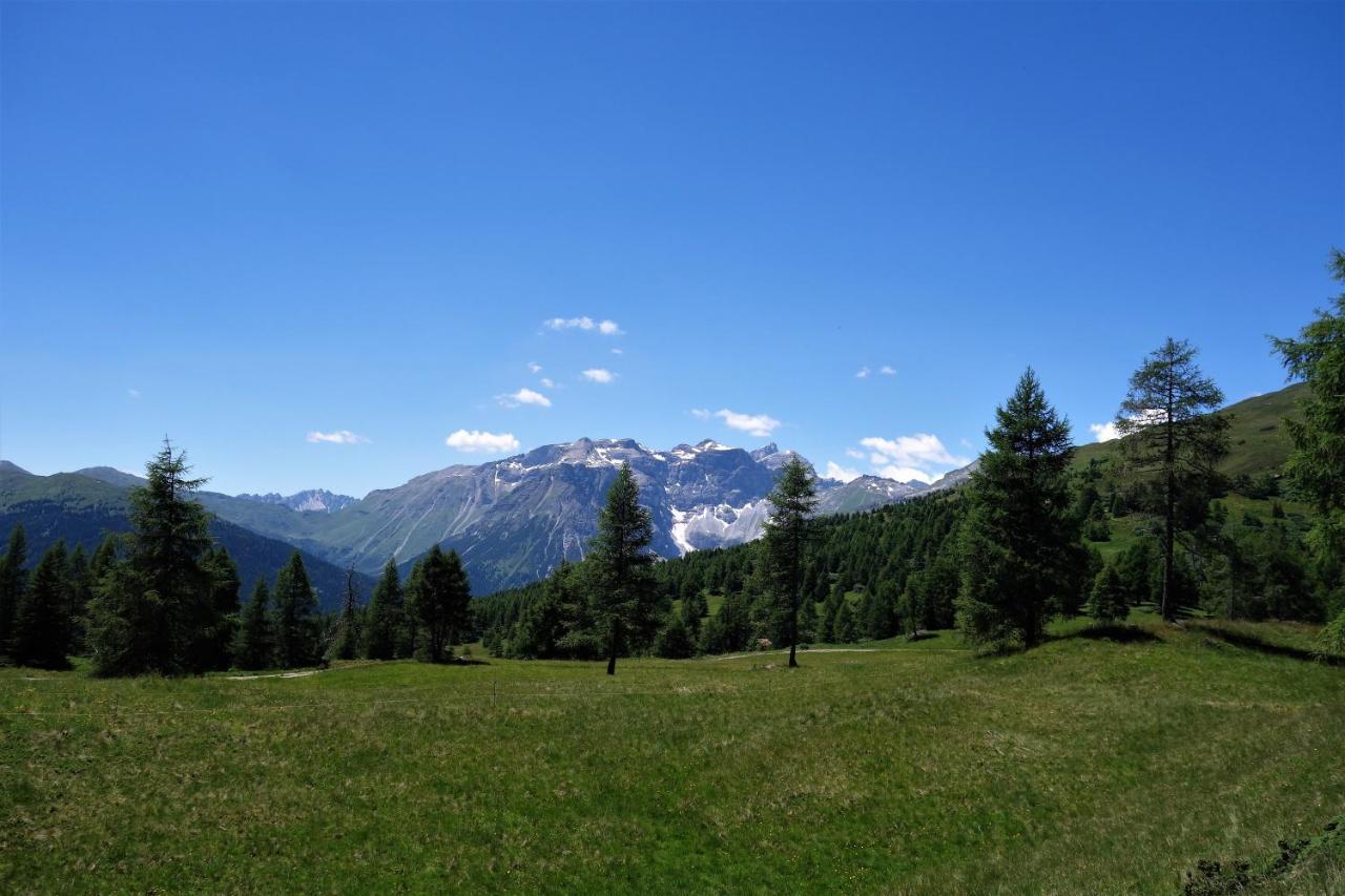טרינס Alpen Gasthof Apartments Hohe Burg מראה חיצוני תמונה